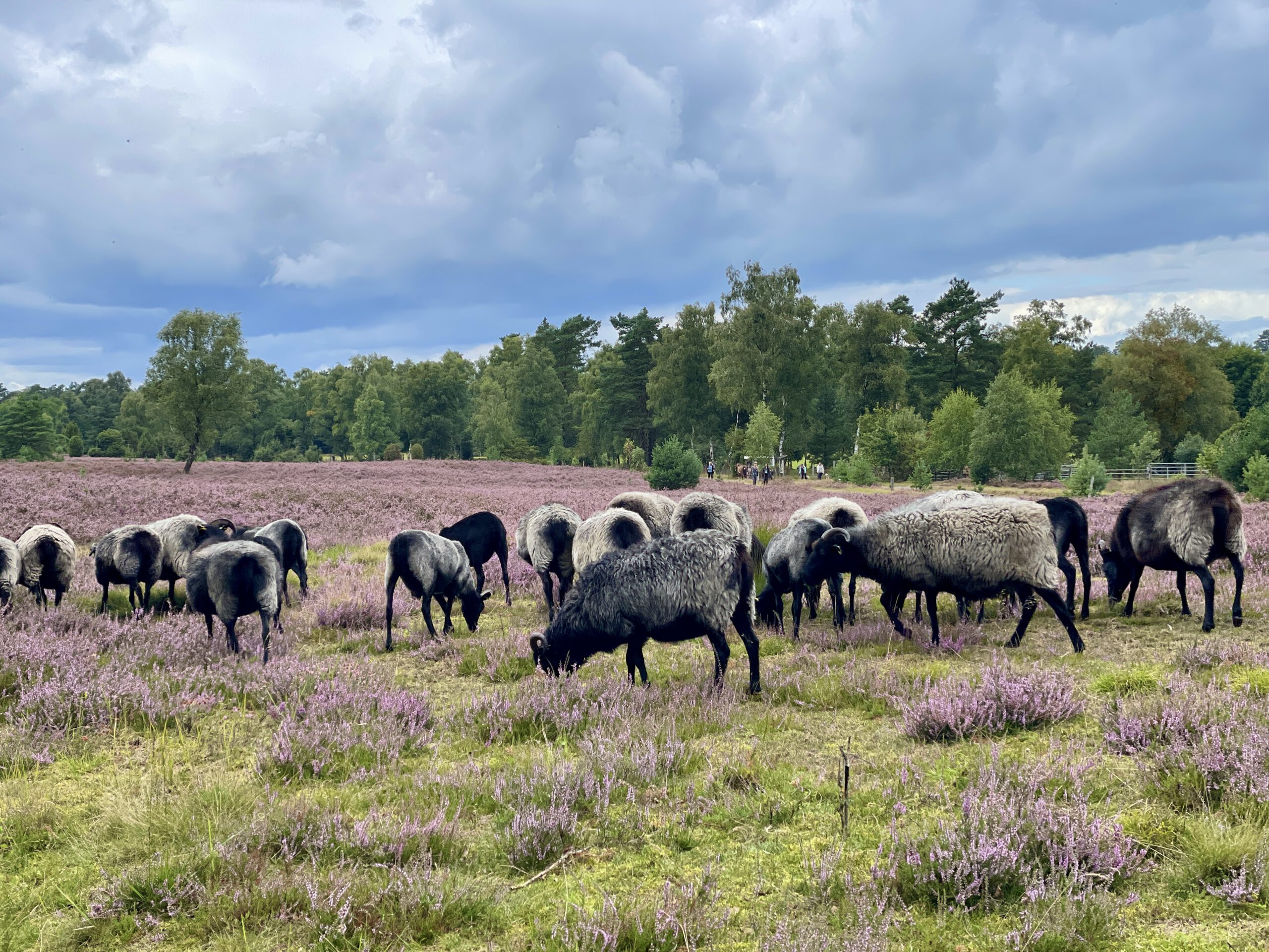 Aktivitäten in der Nähe