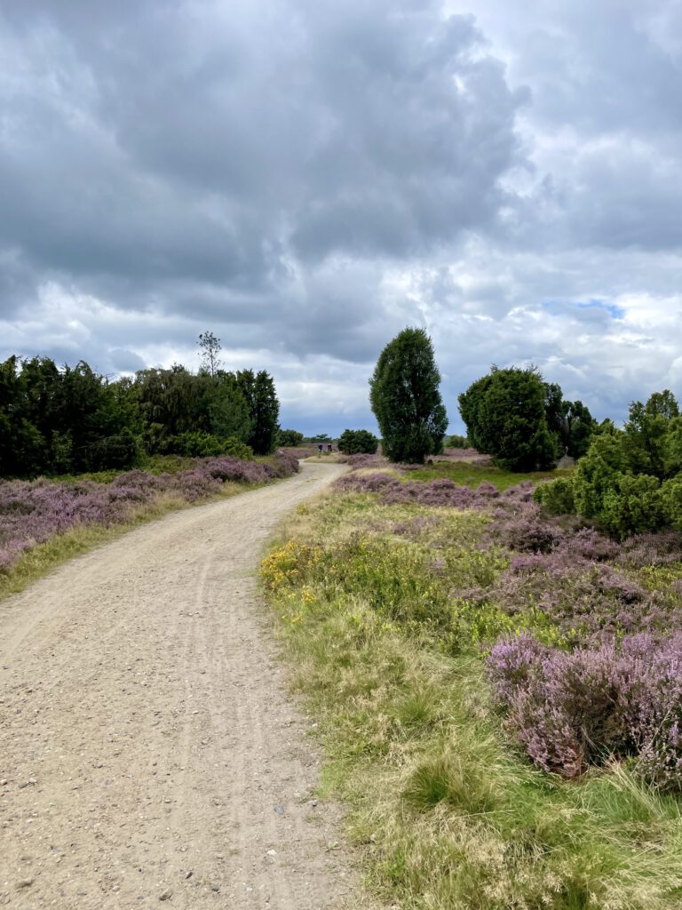 Lüneburger Heide